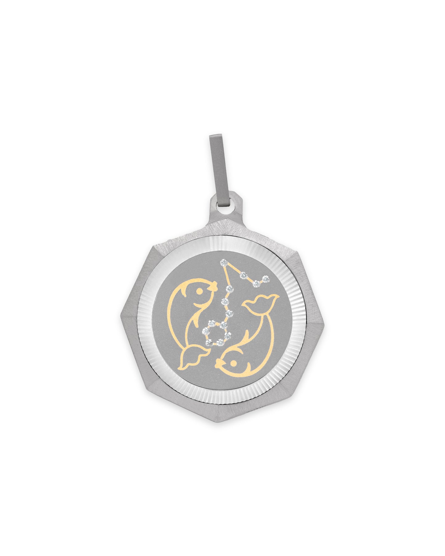 Pisces – Titanium Zodiac Pendant
